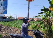 Bertahun – tahun aset Dinas Perhubungan (Dishub) Kabupaten Sampang berupa cermin cembung dibiarkan rusak.