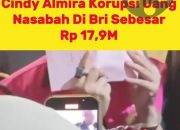 Kasus Dugaan Korupsi di BRI: Nama Cindy Almira Ramai Jadi Sorotan, Nilai Kerugian Capai Rp17,9 Miliar